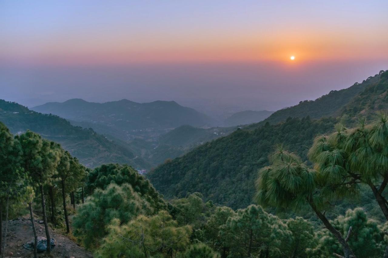 Panormic View By The North Edge Leilighet Kasauli Eksteriør bilde